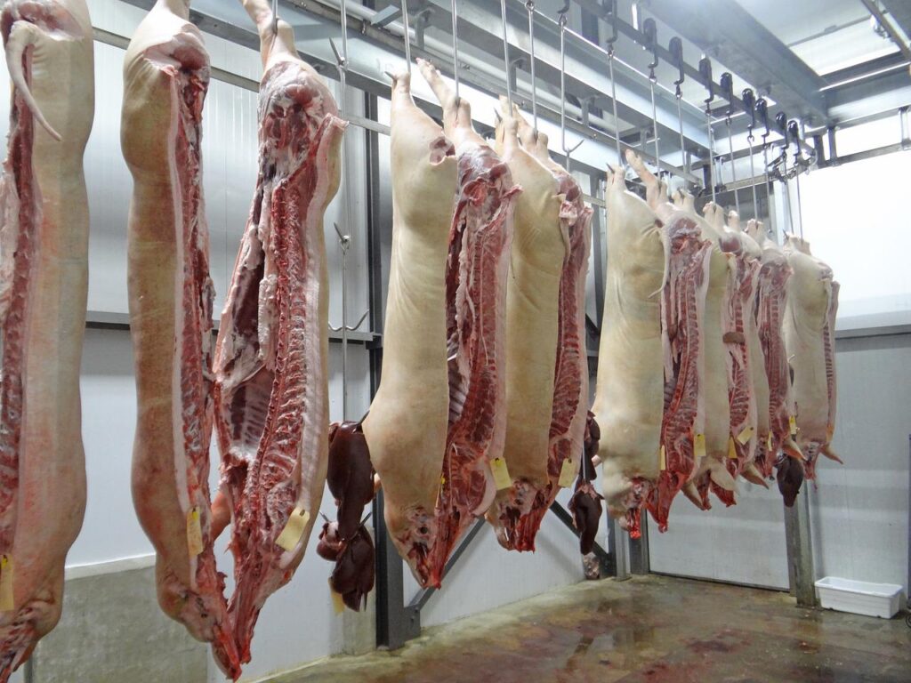 pig, pork, slaughterhouse-1985380.jpg